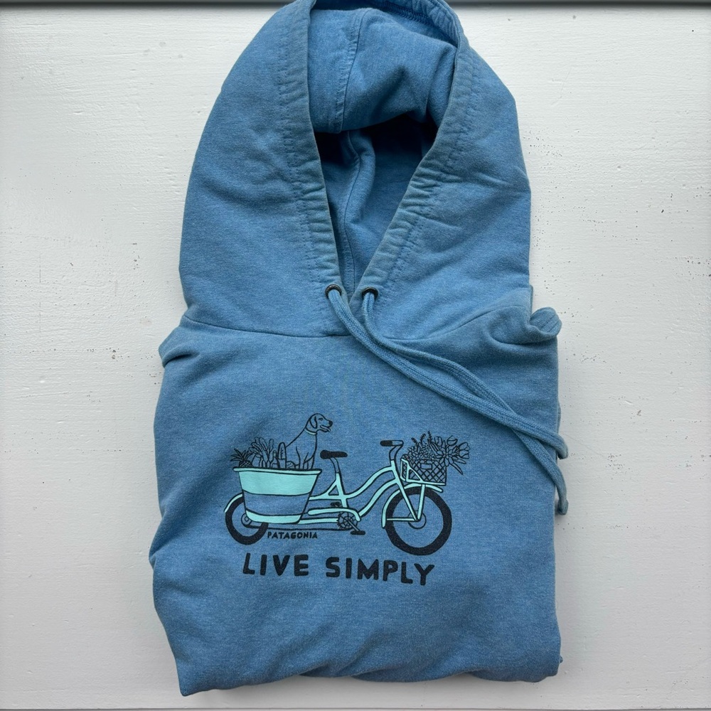 patagonia hoodie